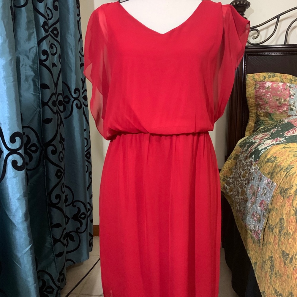 Red Sheer dress